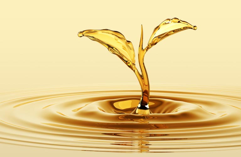 Fertility Reflexology/Online Support. leaf-drop-fw